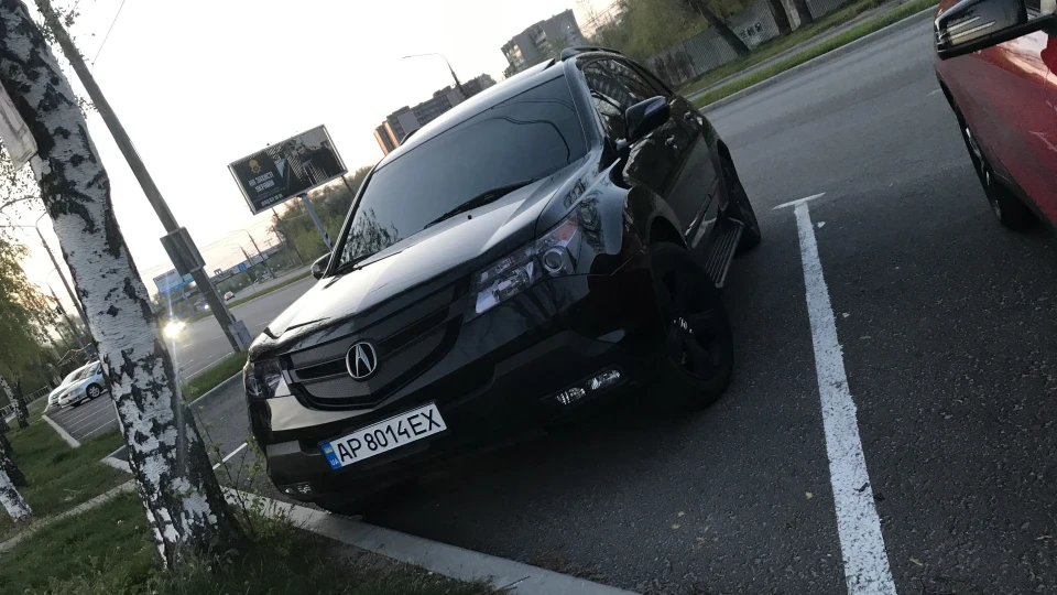Acura MDX Терплячий Бобик 2