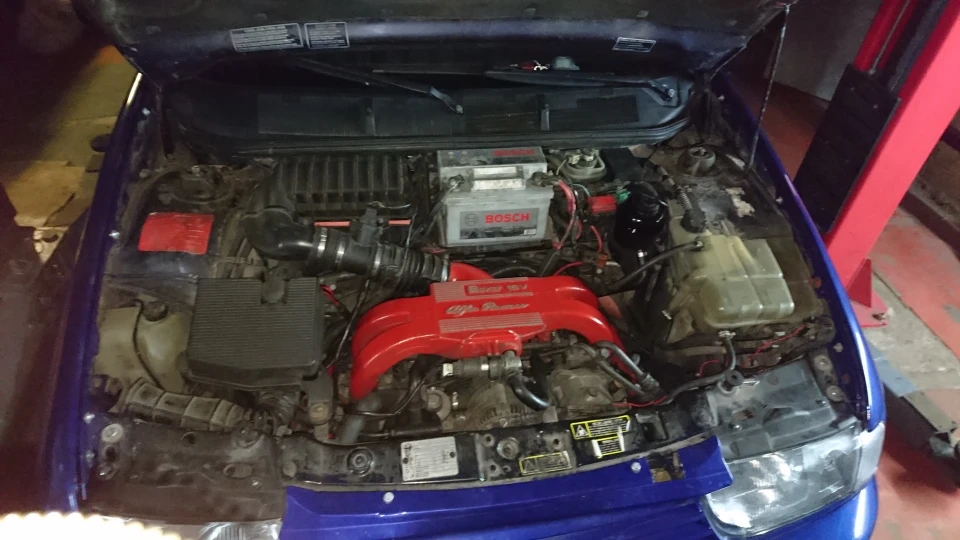 1 7 Boxer 5