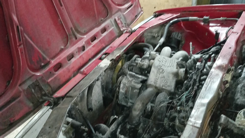 Alfa Romeo 33 "Alfa - Fenix" 4