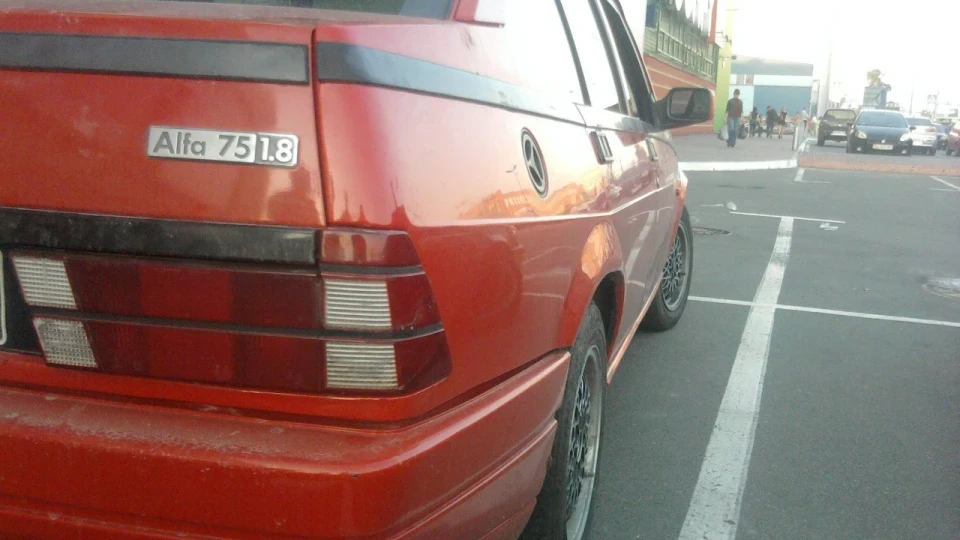 Medvejonok 2 5 5