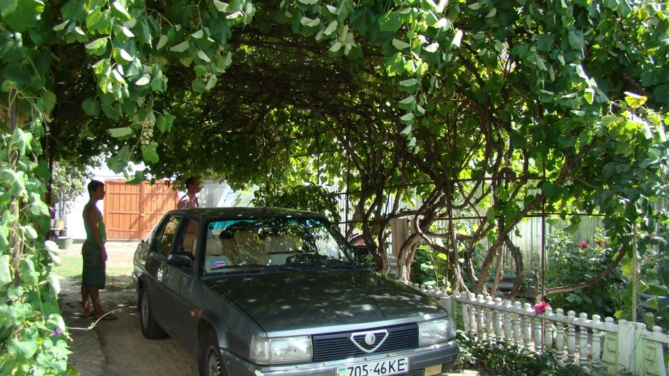 Alfa Romeo 90 Вибух з минулого