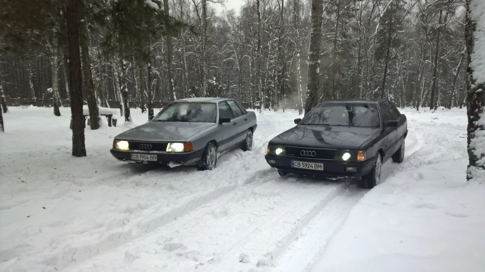 Audi 100 5