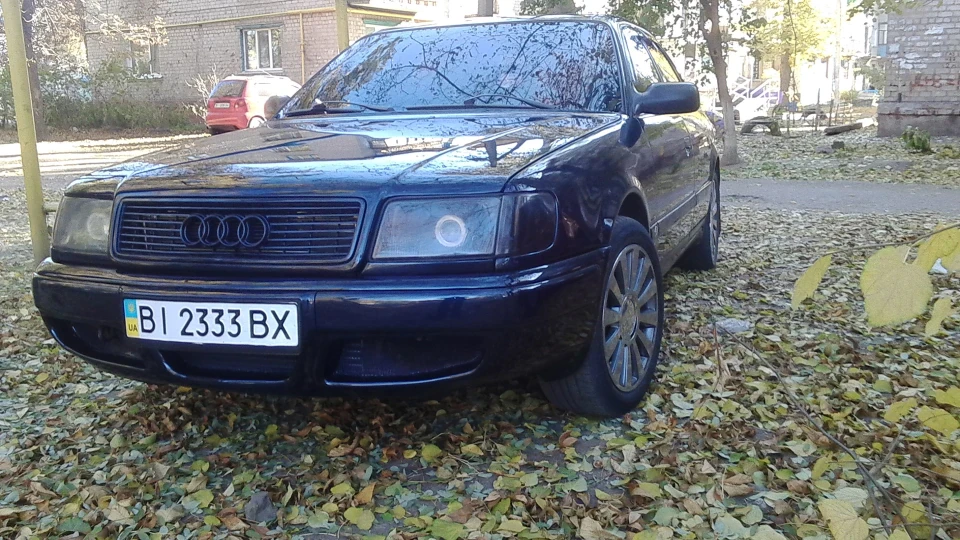 53