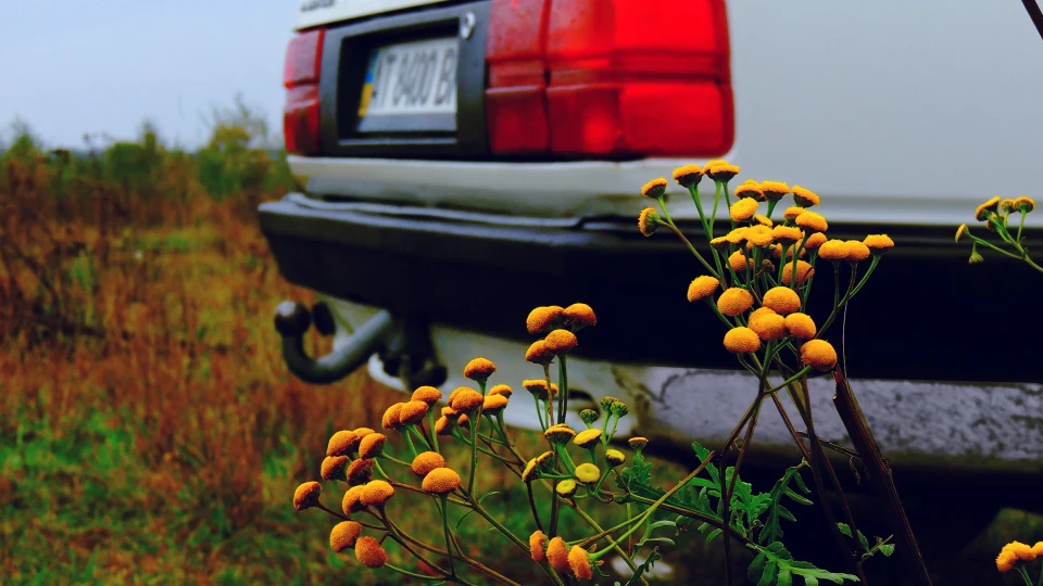 Audi 100 2.0 5
