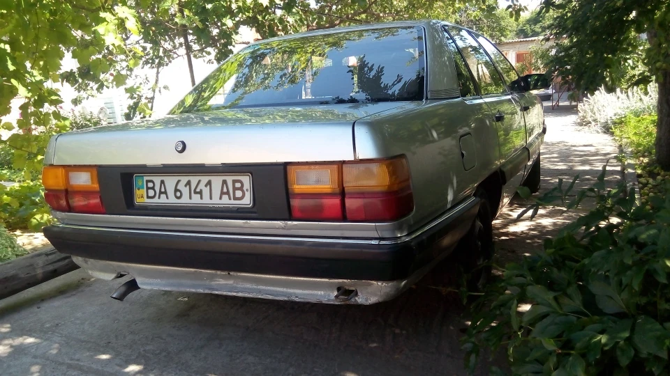 Audi 100 Авдотья 2.2 5