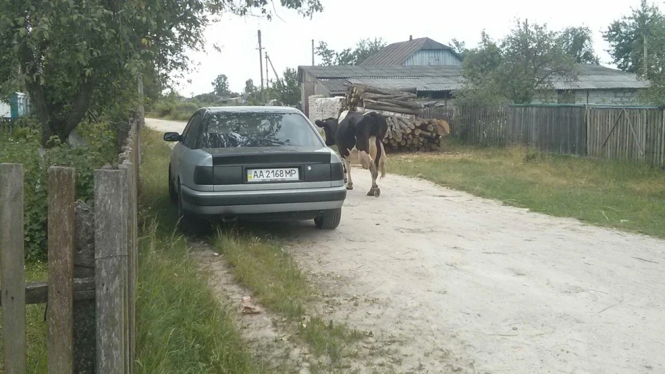 Banditka 4