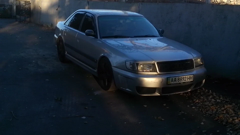 Belka V Golove 4