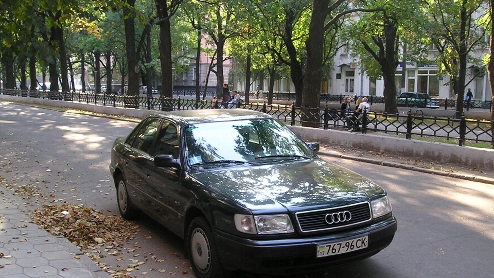 Crocodile 2 4d