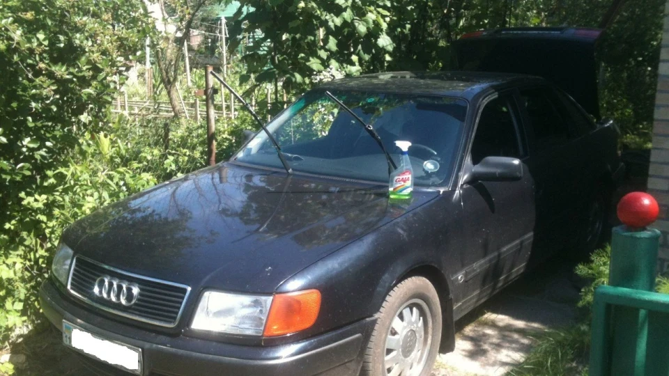 Audi 100 Girlfriend 2