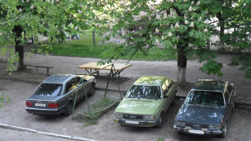 Lipa Zelenaya 3