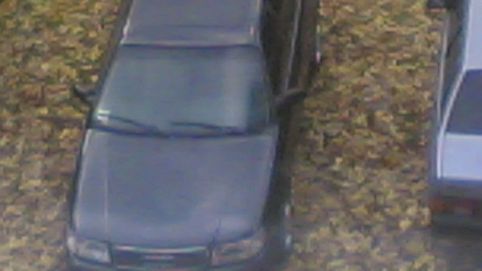 Quattro Kovcheg 2