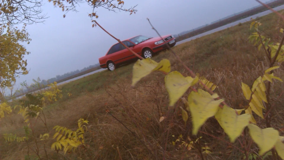 Audi 100 С4 TDI 5