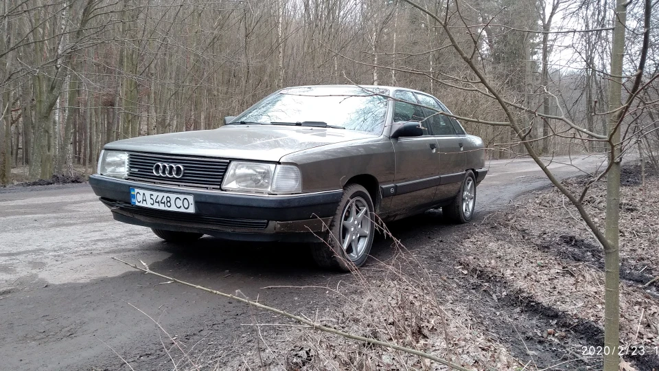 Seryy Quattro 2