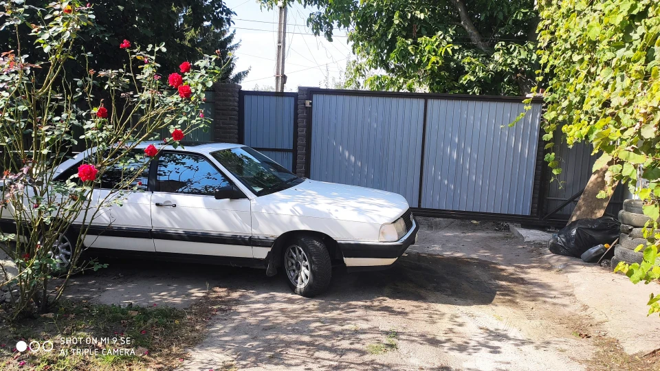 Audi 100 Веселий альбінос кракаді 5