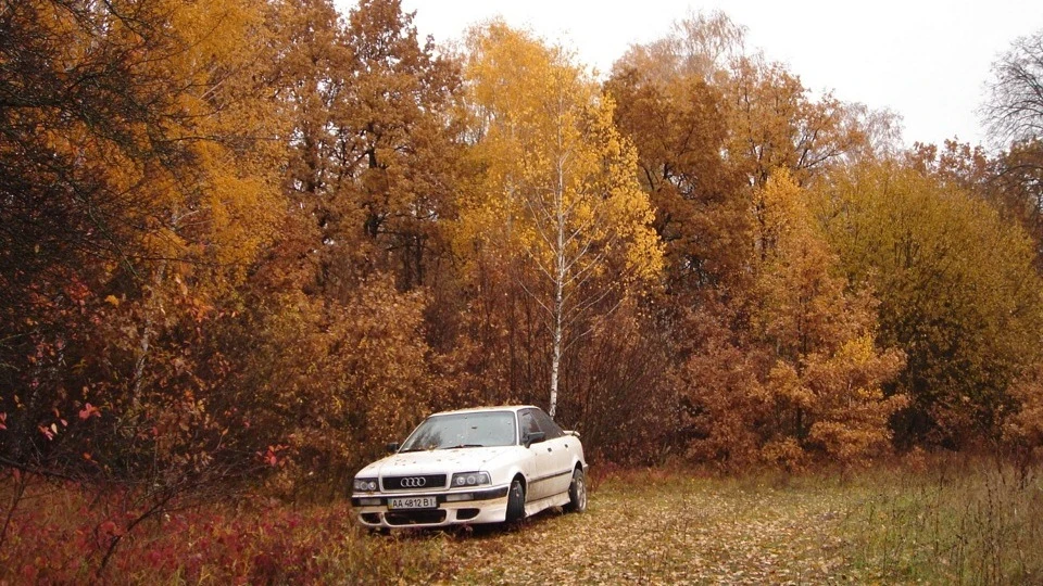 Audi 80 3