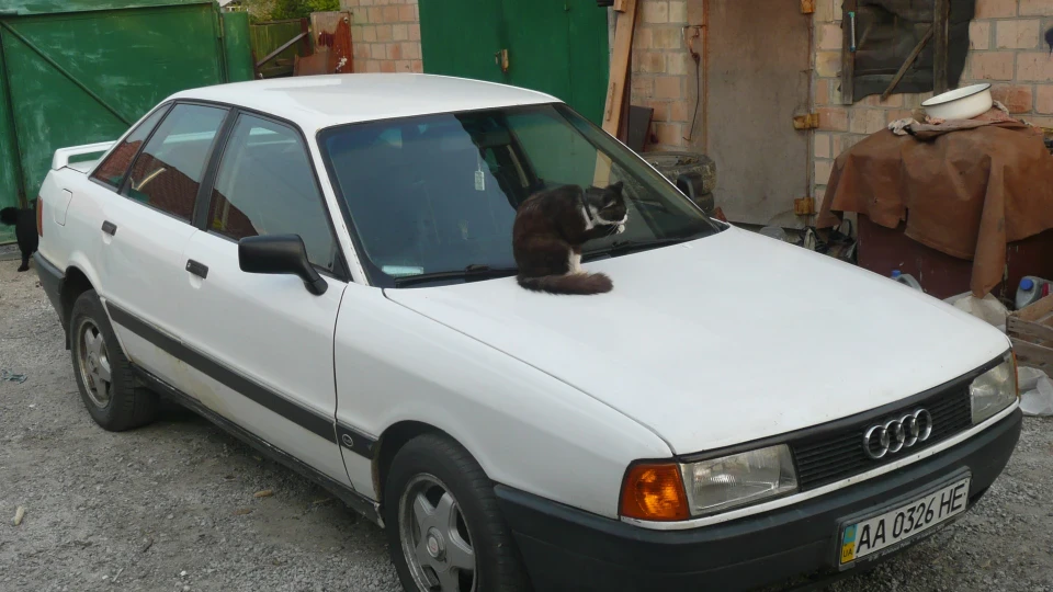 Audi 80 3
