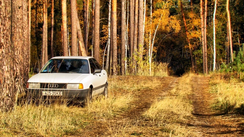 Audi 80
