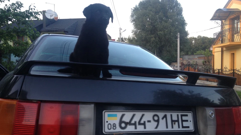 Audi 80 Пекельна колісниця 3