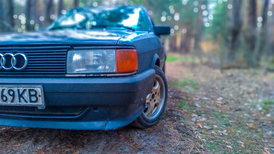 Audi 80 Авдотья 5