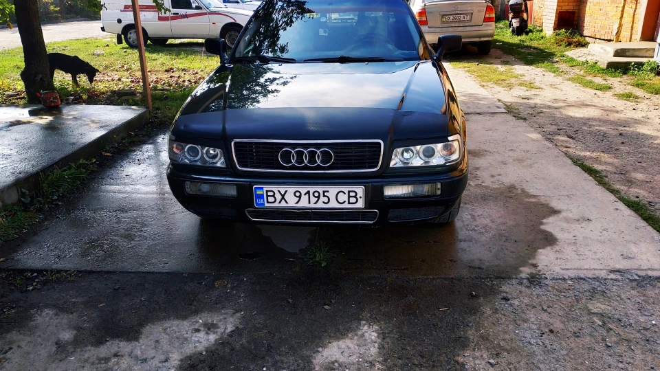 Audi 80 моно Mass 2