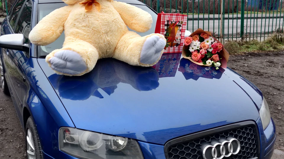 Audi A3 Sportback 2.0tdi черепиця 2