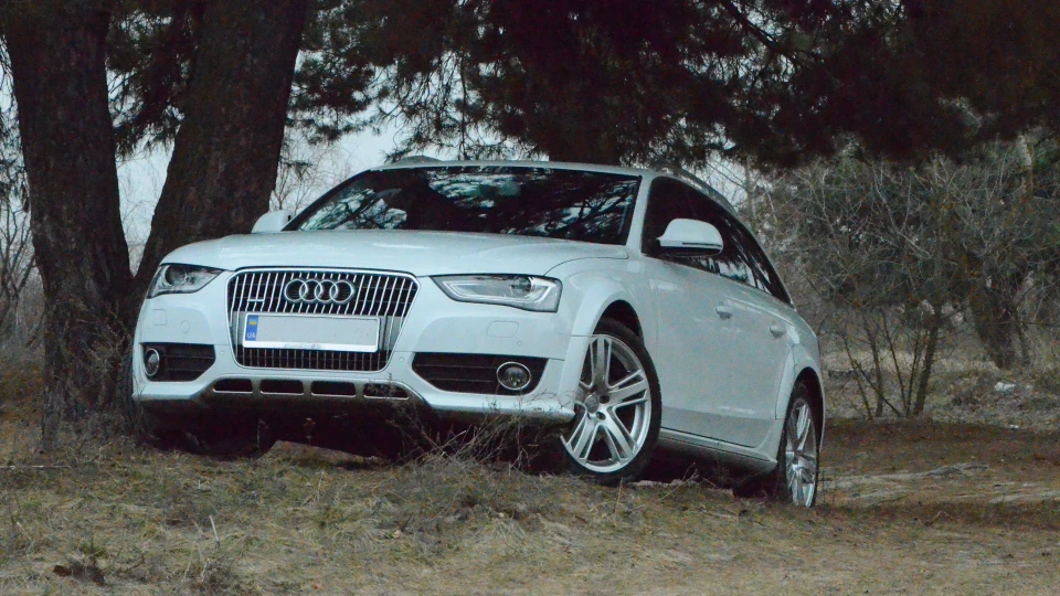 Audi A4 Allroad Анабель 4