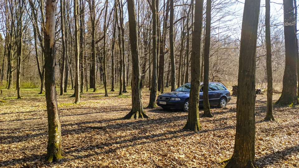 Audi A4 Avant Мала 3