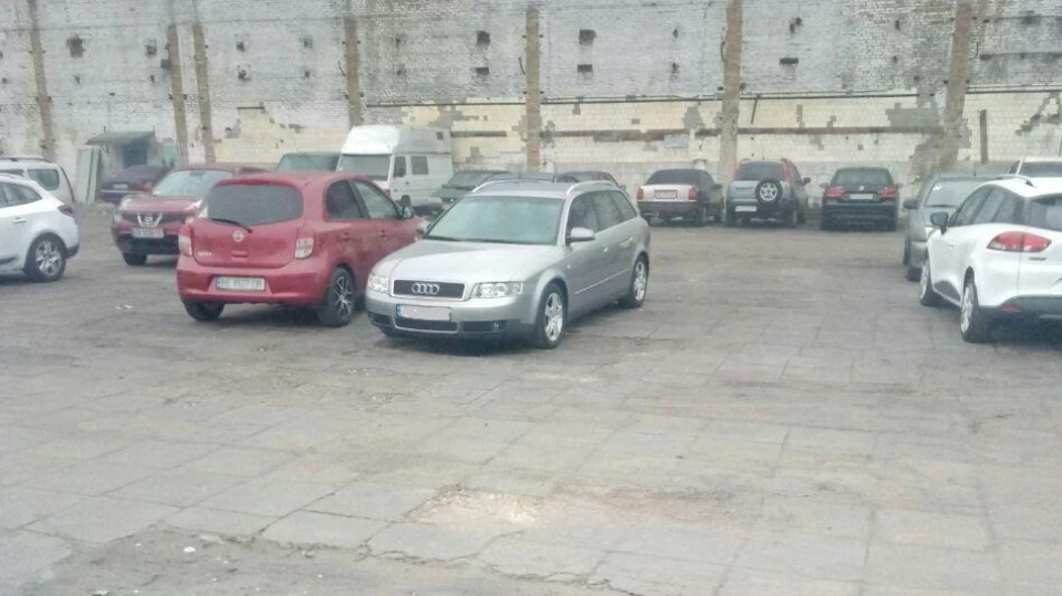 Audi A4 Avant Хрюша 2