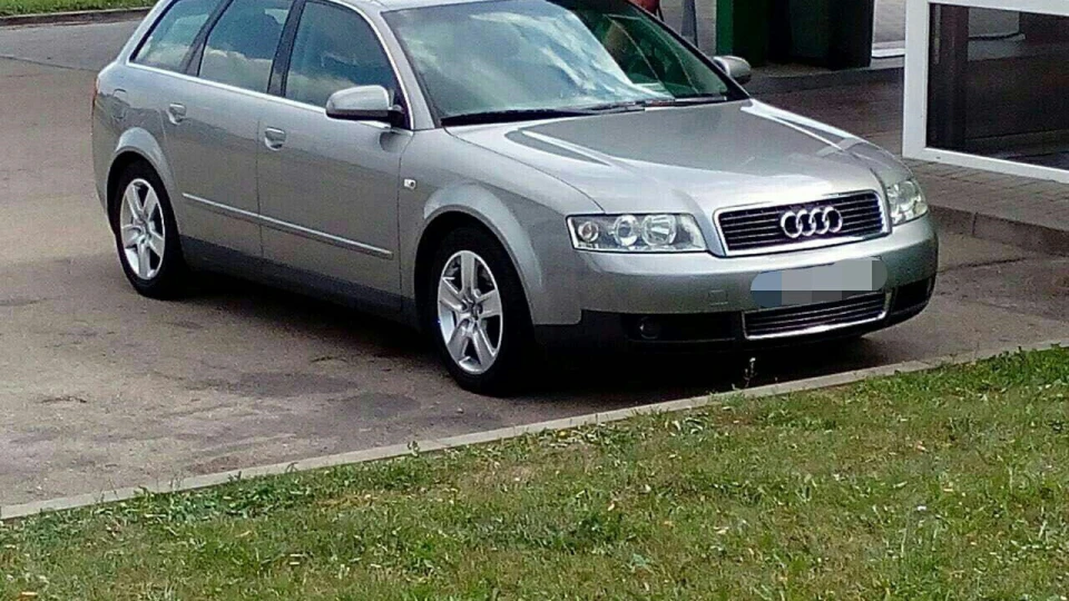Audi A4 Avant Хрюша 3