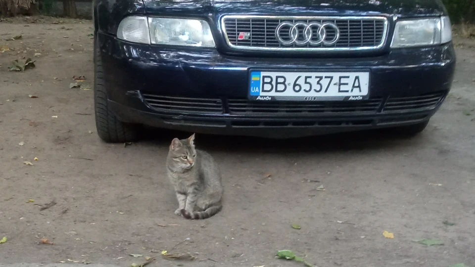 Audi A4 5