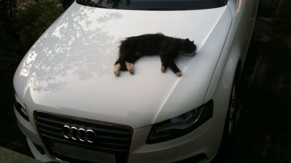 Audi A4 AUDIмобіль 4
