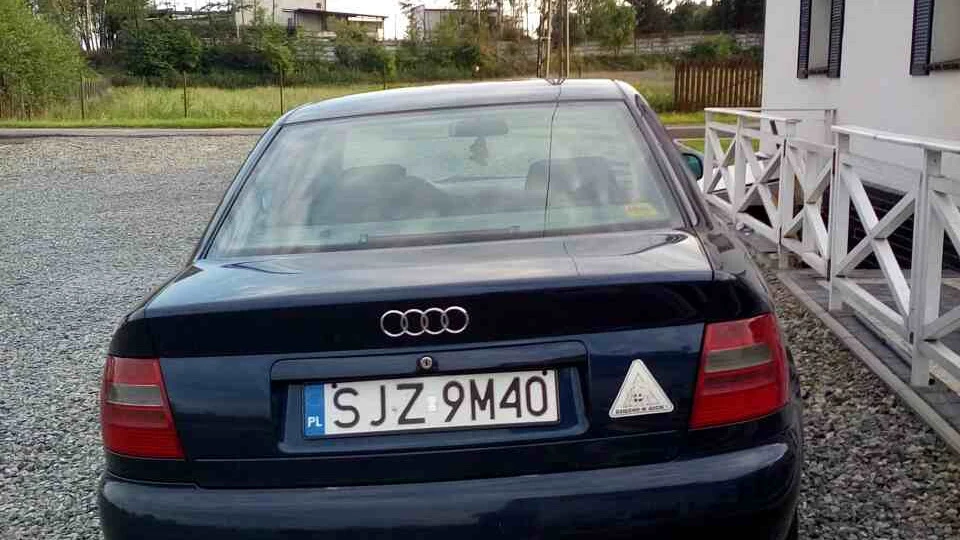 Audi A4 Черепок 2