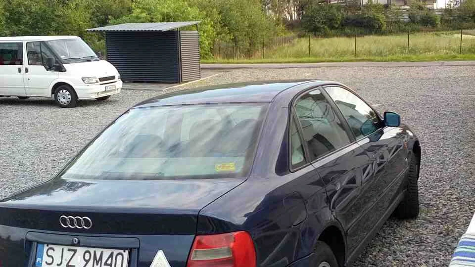 Audi A4 Черепок 3