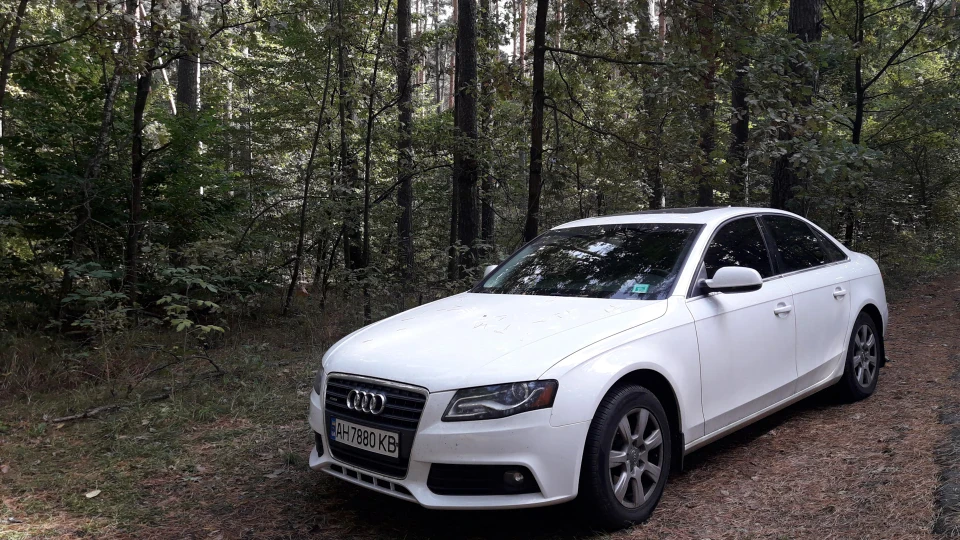Audi A4 GoodGirl 3