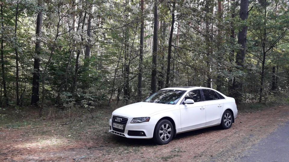 Audi A4 GoodGirl 4