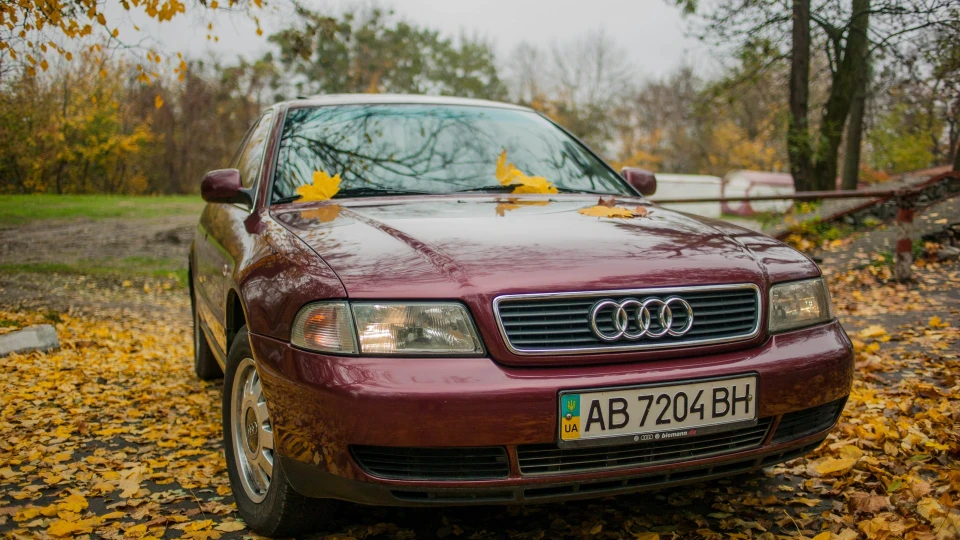 Audi A4 Hibiscusrot OEM+ 2