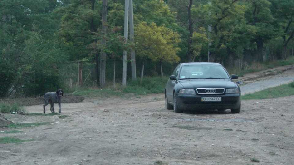 Audi A4 Моя перша 5