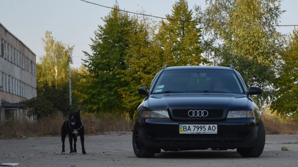 Audi A4 турбований поїзд 5
