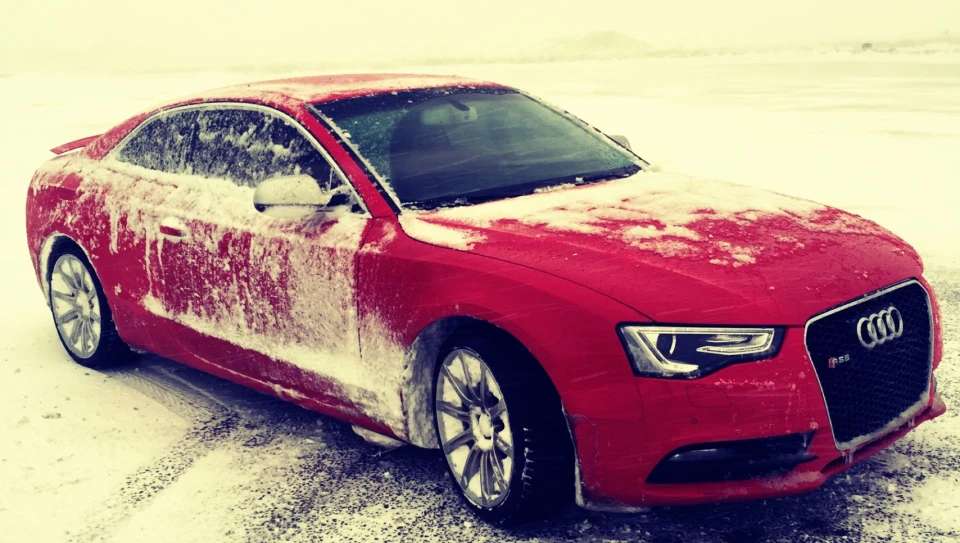 Audi A5 Kitten's car