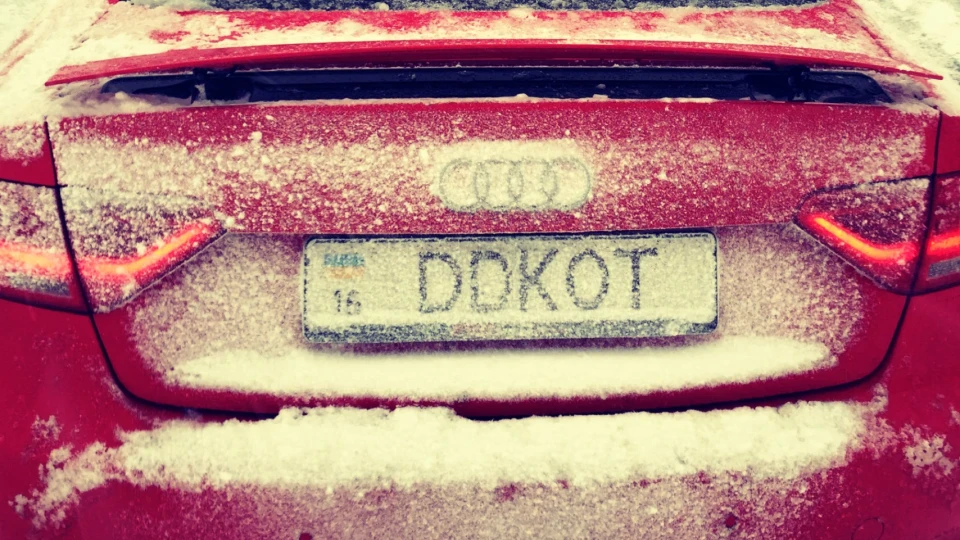 Audi A5 Kitten's car 2