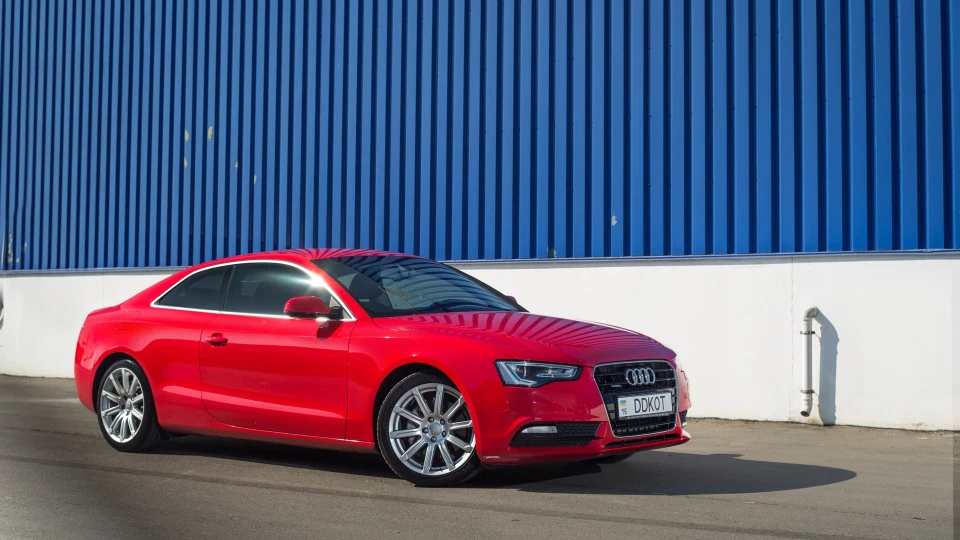 Audi A5 Kitten's car 5