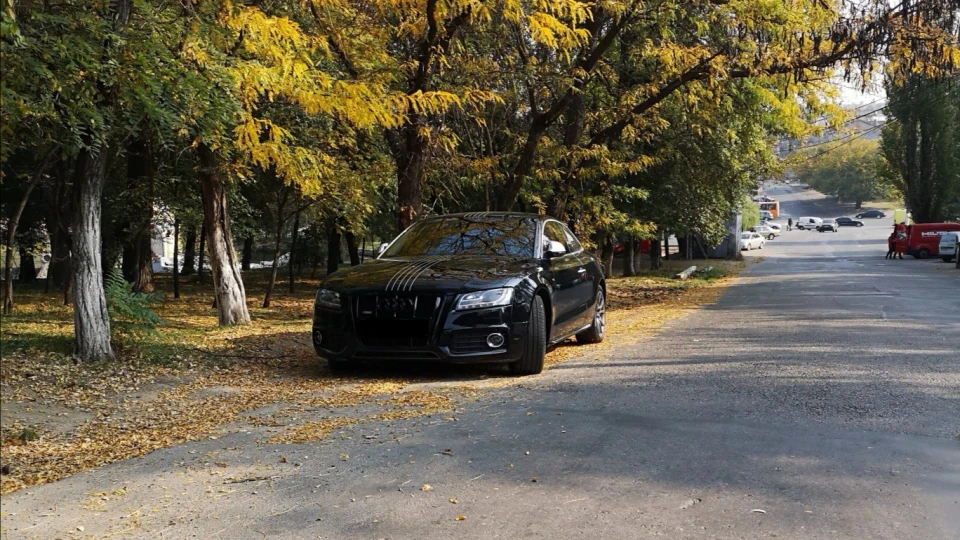 Audi A5 Lastochka 2