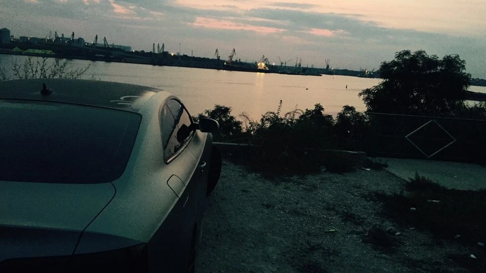 Audi A5 Звірятко 4