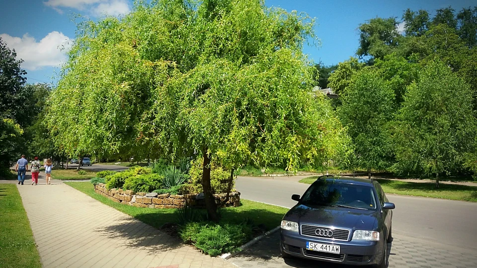 Audi A6 Avant 2