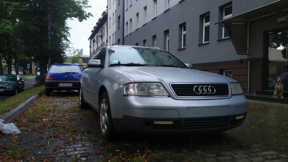 Audi A6 Avant 🦛 Бегемотик 🦛 2