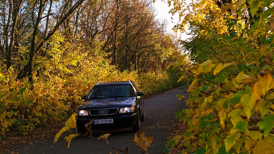 Audi A6 Avant Blue sapphire 3