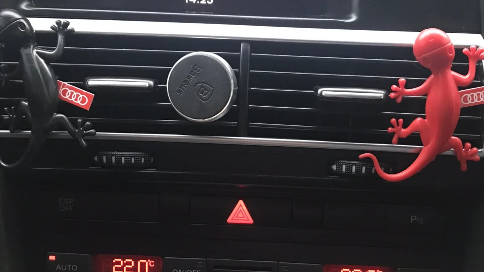 Audi A6 Avant Кваттро сарай 2
