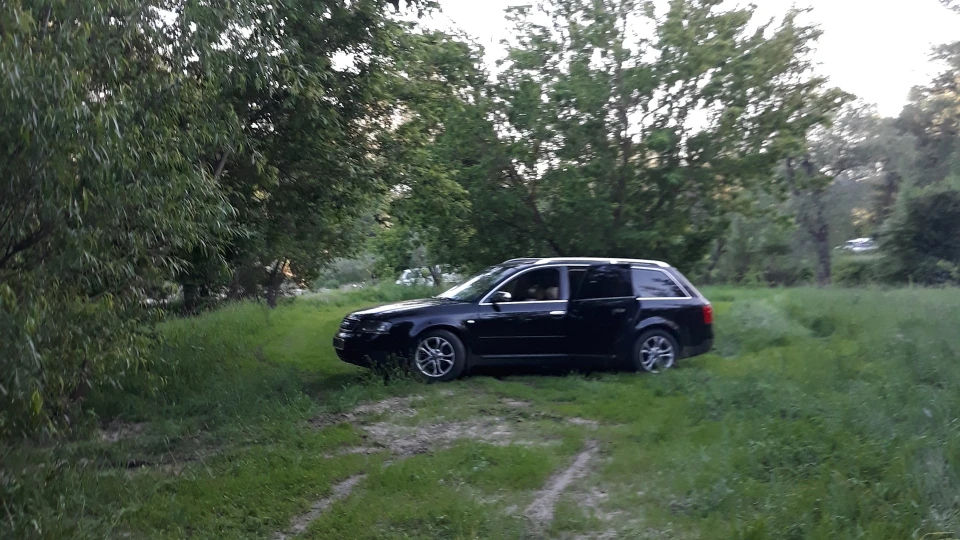 Audi A6 Avant #Жебрад 2