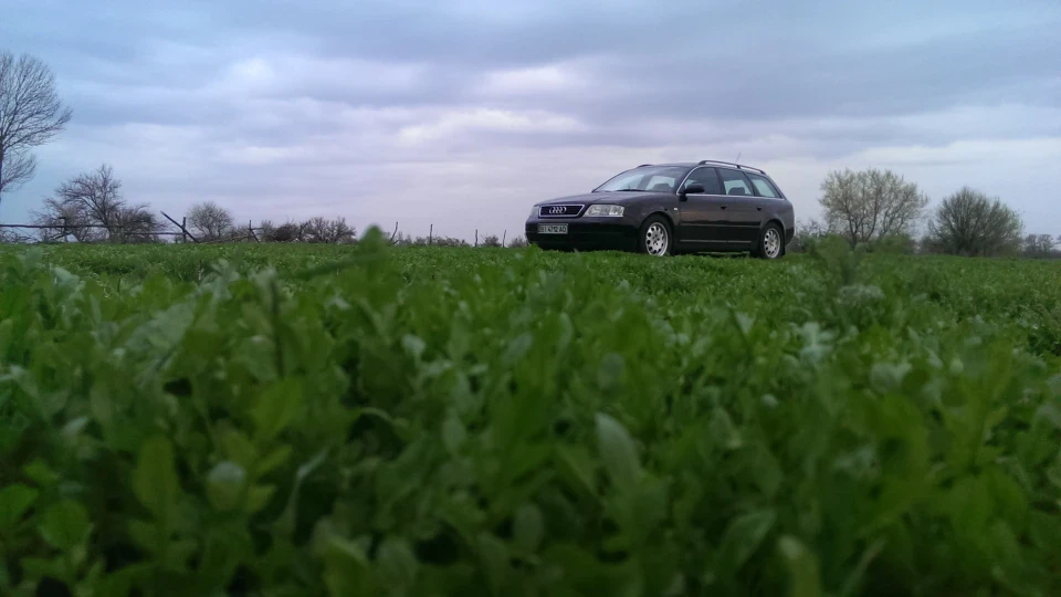 Audi A6 Avant спритна турбо черепаха 4