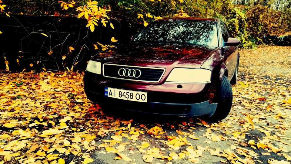 Audi A6 Черепашка